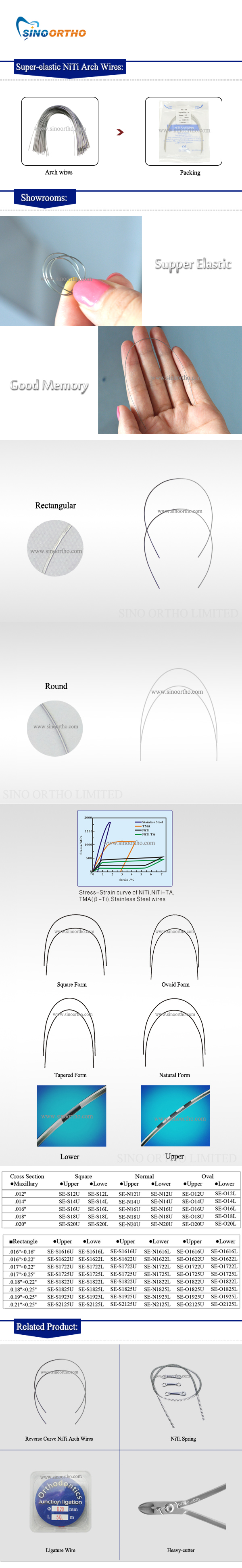 Orthodontic Arch Wire - Buy orthodontic arch wire, orthodontic wire ...